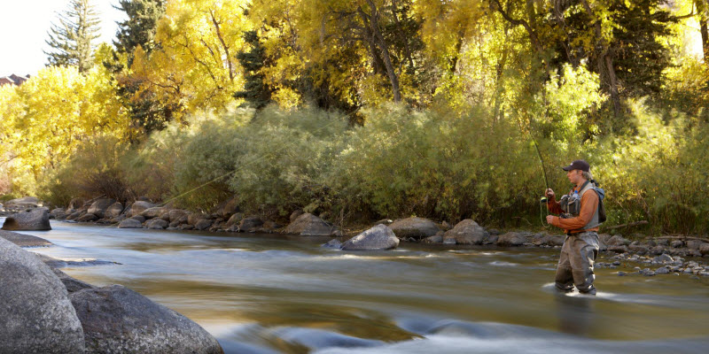 Fly Fishing - Sheraton Steamboat Resort Villas