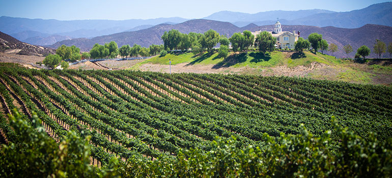 southern california wine tour